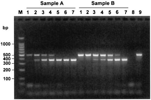 FIG. 7.