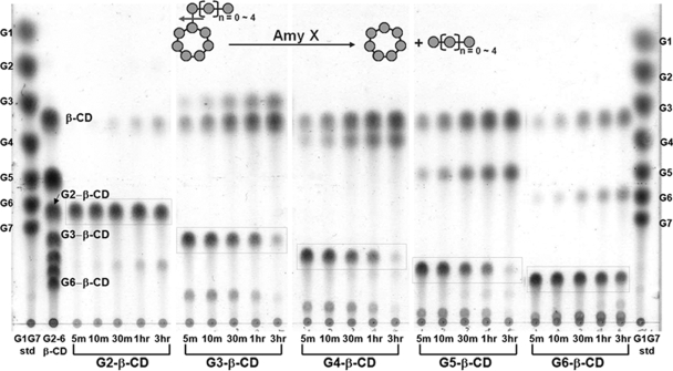 FIG. 3.