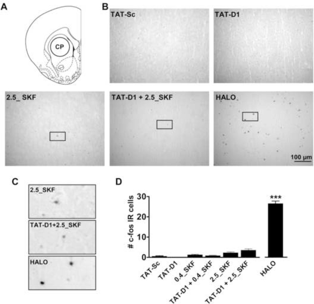 Fig. 3