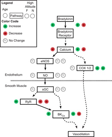 Fig. 11.