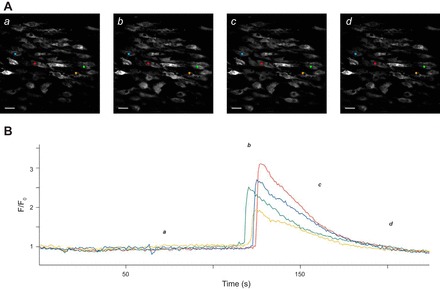 Fig. 3.