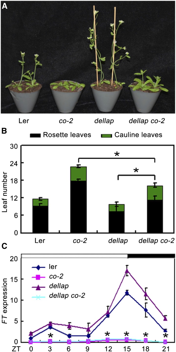 Figure 4.