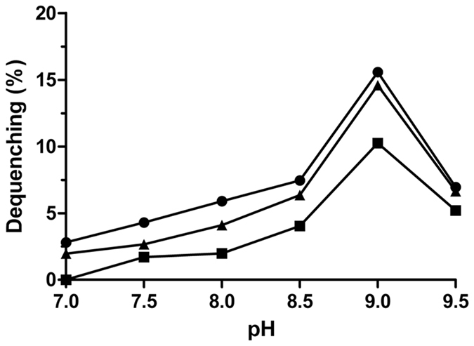 Figure 8