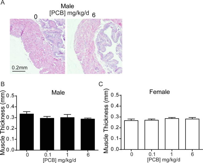 Supplementary Fig. 2