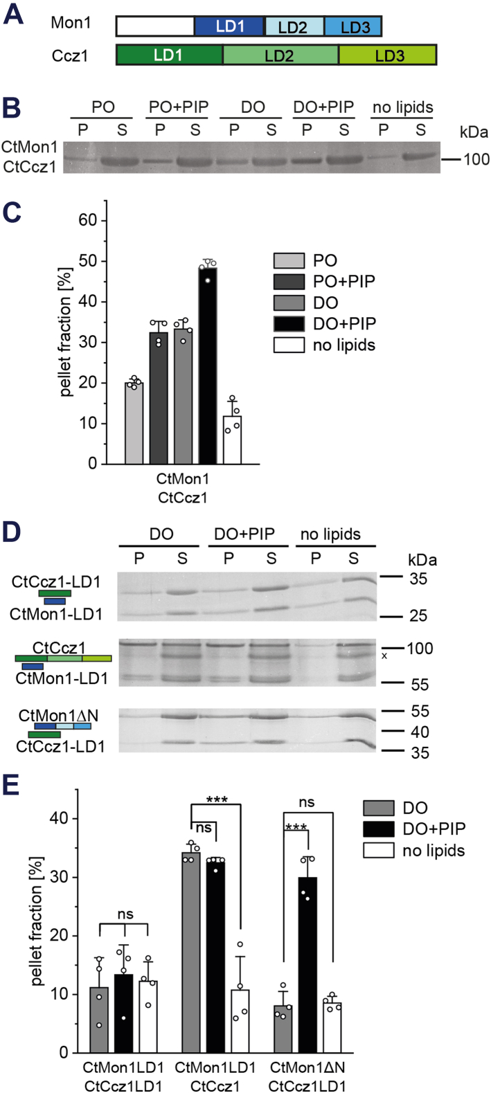 Figure 1