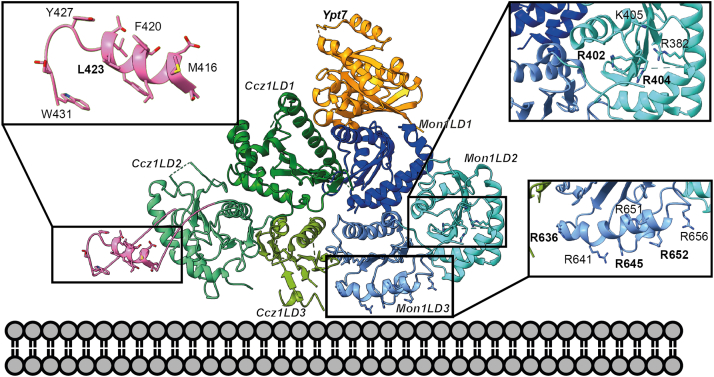 Figure 4