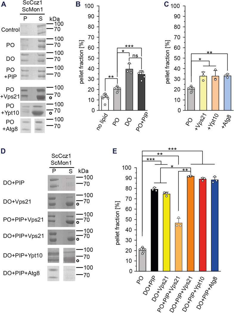 Figure 2