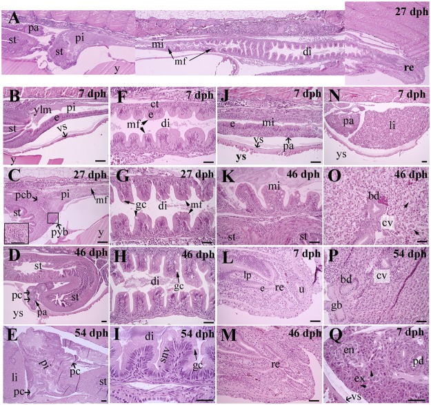 Fig 4