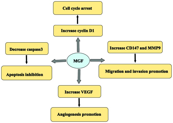 Figure 7.