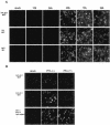 FIG. 6.