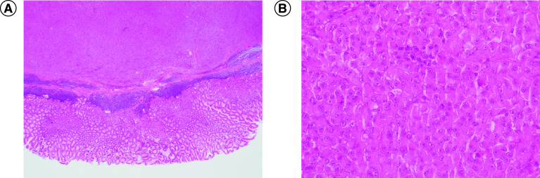 Figure 3. 