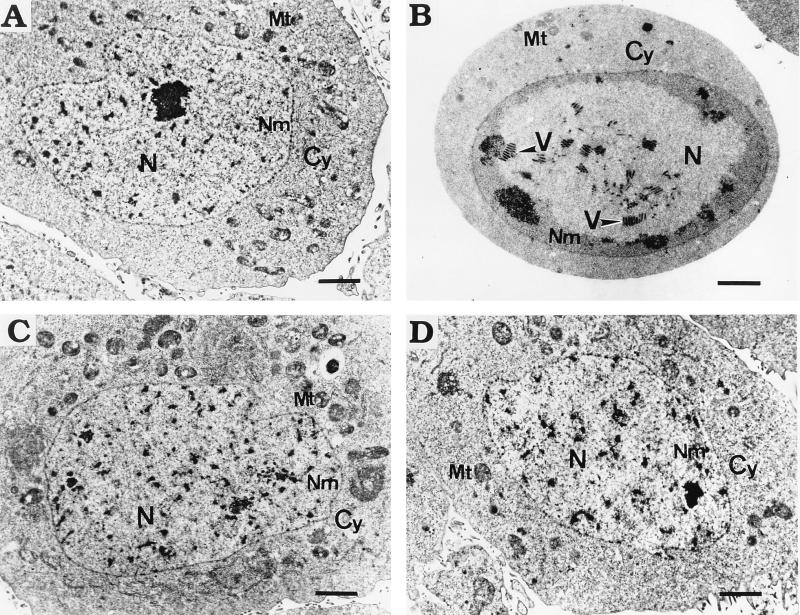 FIG. 8