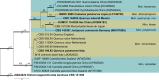 Fig. 40