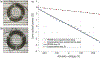 Fig. 10.