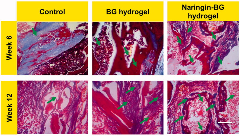 Figure 10.