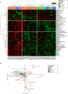 Figure 3—figure supplement 2.