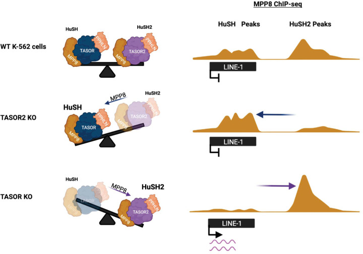 Figure 7: