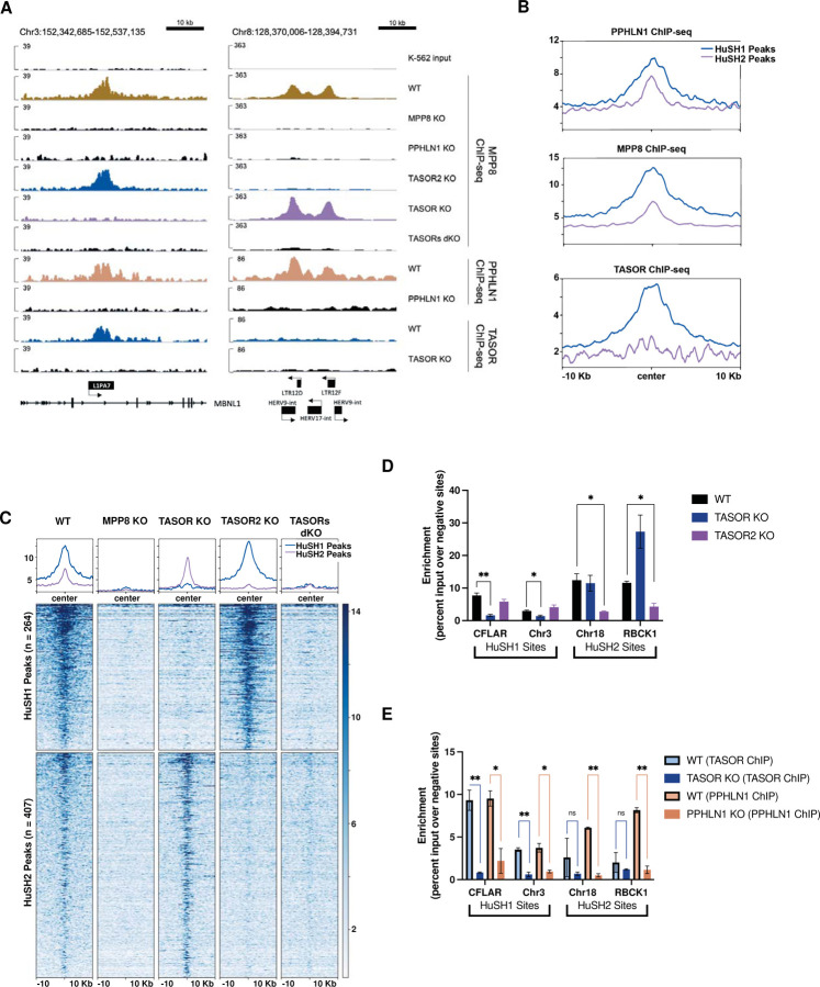 Figure 2: