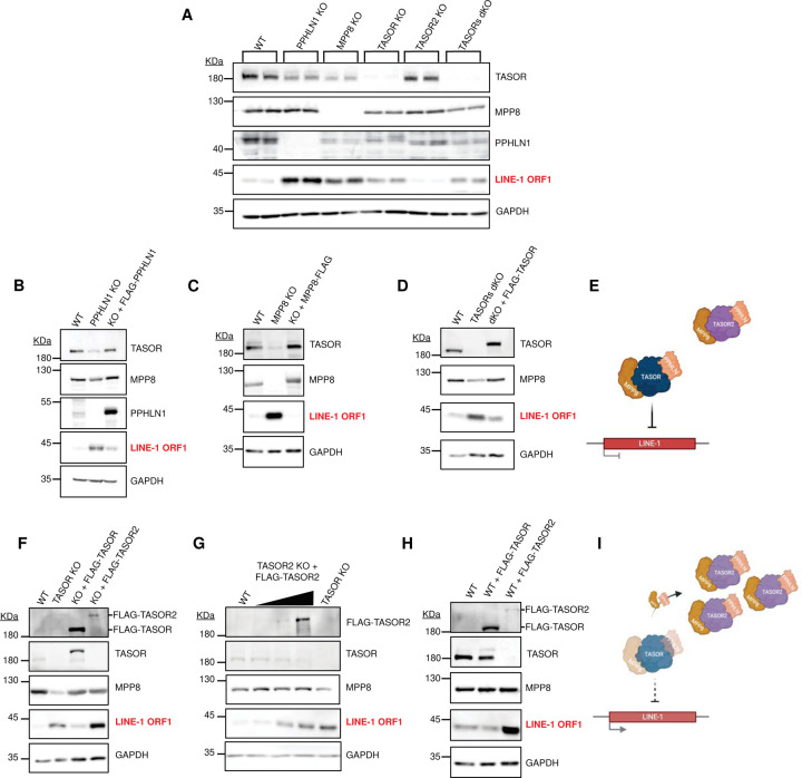 Figure 5: