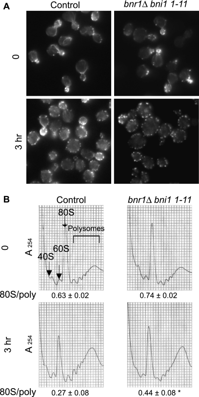 FIG. 9.