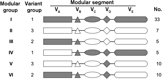 Fig. 6.