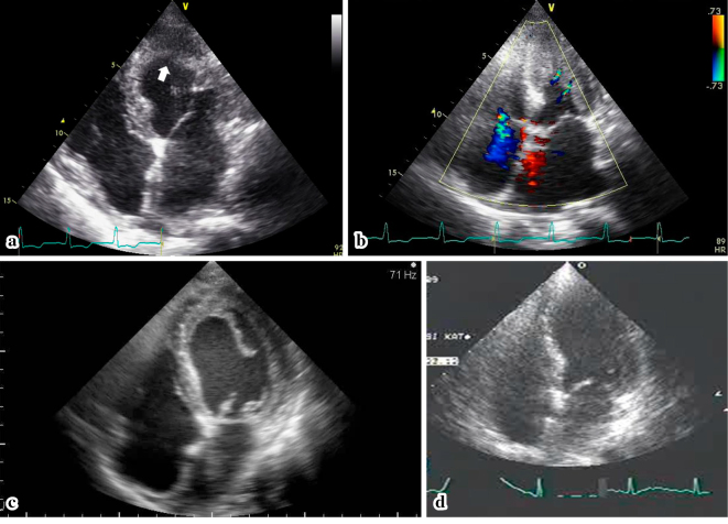 Figure 4.