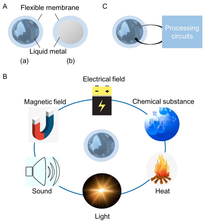 Figure 12