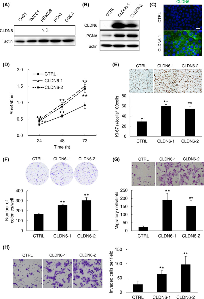 FIGURE 2