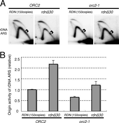 FIG. 7.