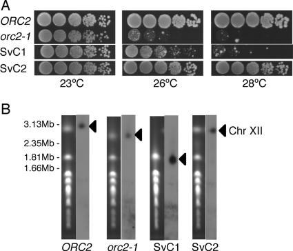 FIG. 3.