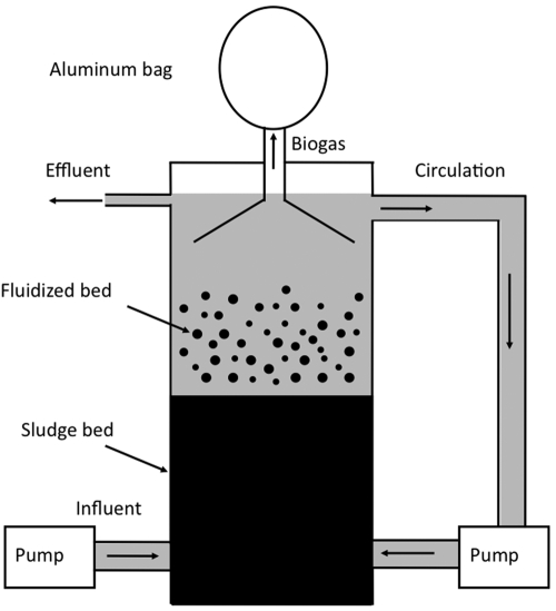 FIG 6 