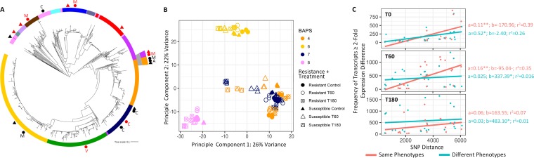 FIG 2