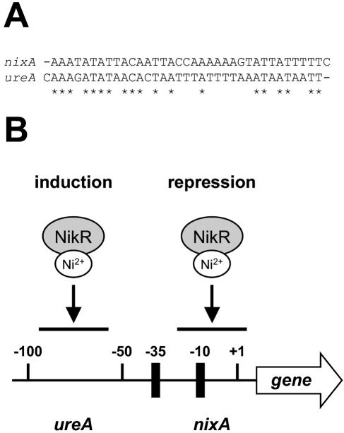 FIG. 5.