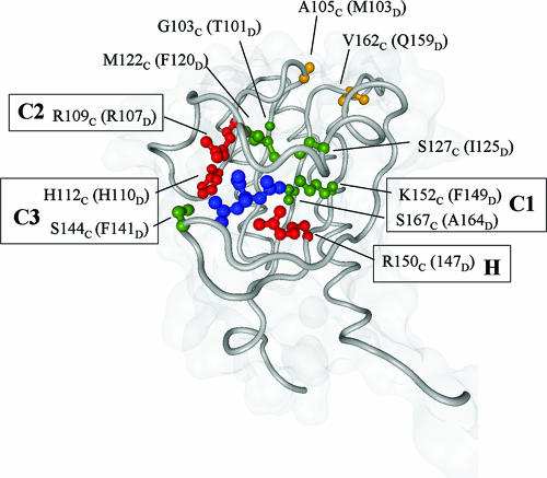 FIG. 1.