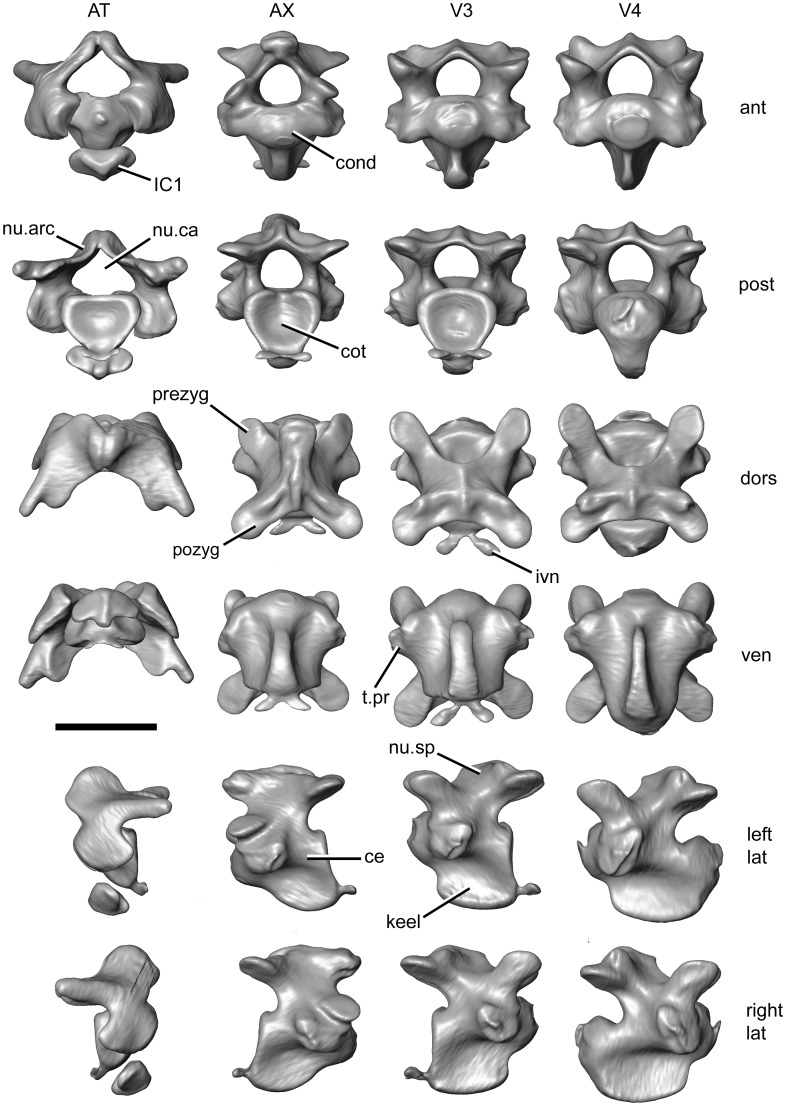 Figure 5