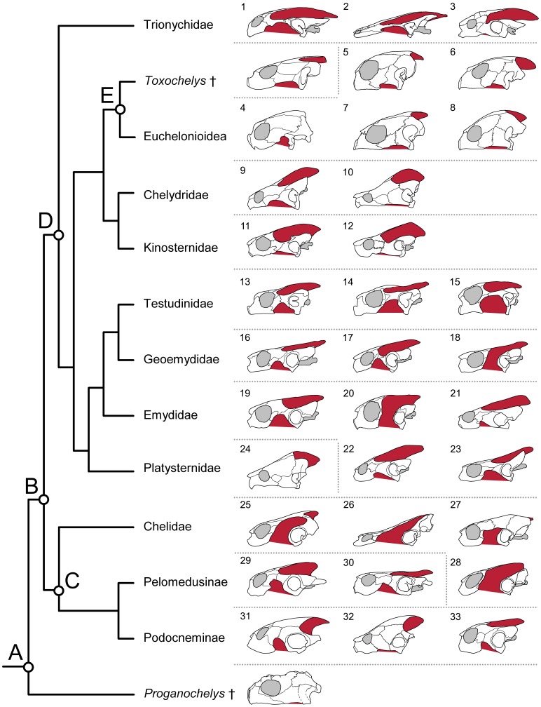 Figure 13