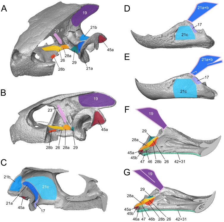 Figure 9