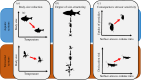 Ecological consequences of warming-induced body size reductions (red arrows) are expected to differ among aquatic and terrestrial ecosystems