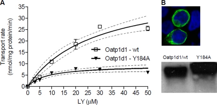 FIGURE 16.