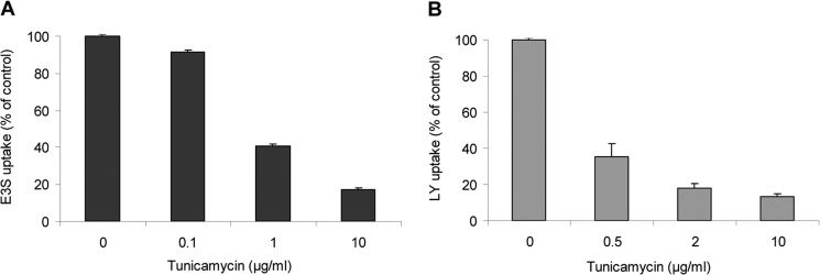 FIGURE 14.