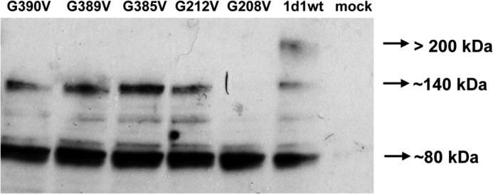 FIGURE 13.