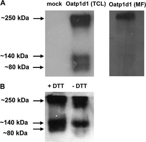 FIGURE 10.