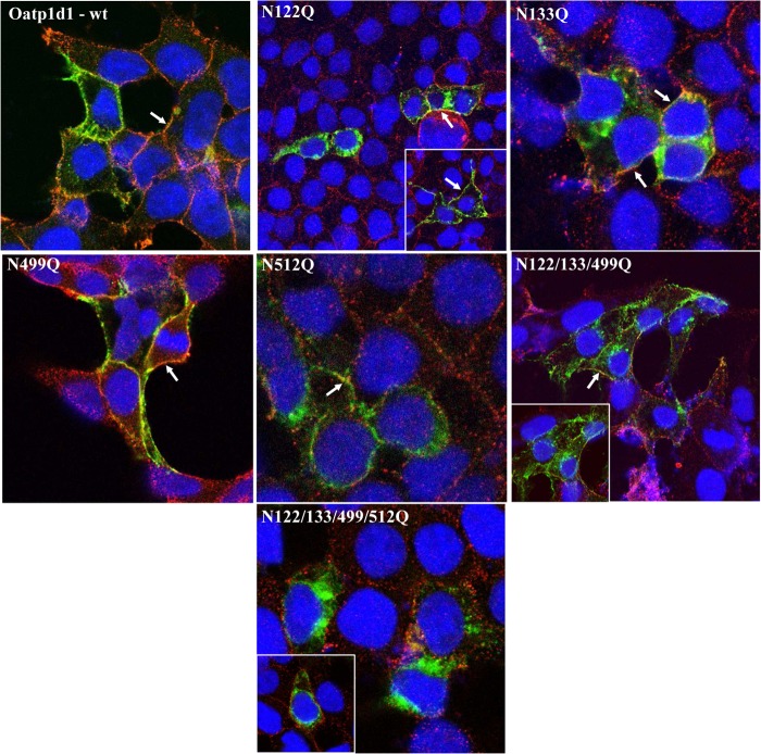 FIGURE 15.