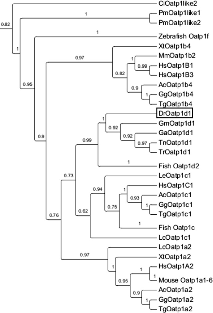 FIGURE 1.