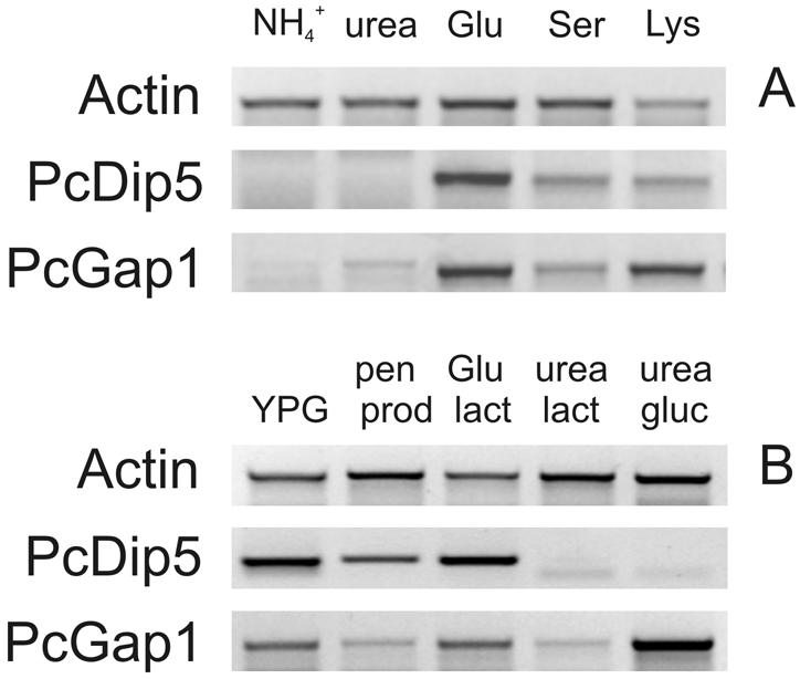 FIG. 6.