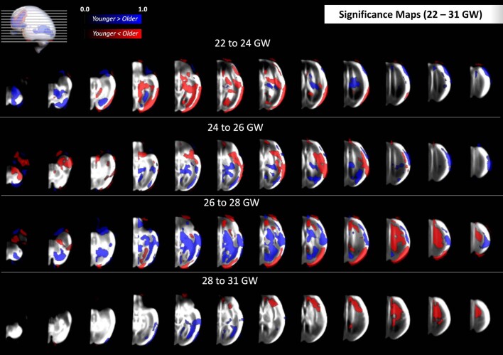 Extended Data Fig. 12