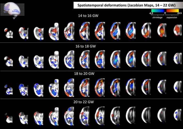 Extended Data Fig. 3