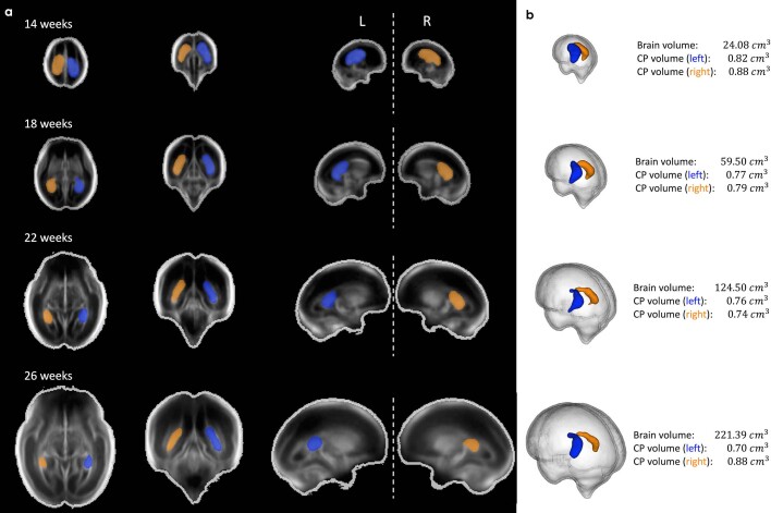 Extended Data Fig. 6