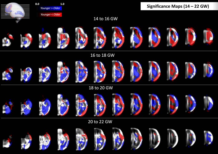 Extended Data Fig. 11