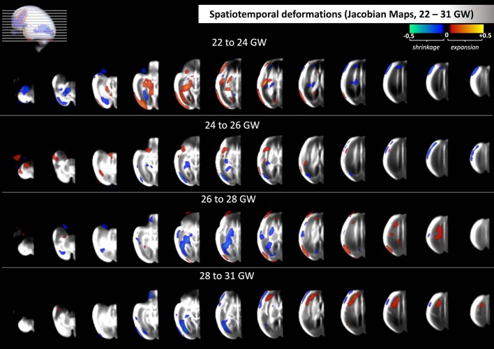 Extended Data Fig. 4